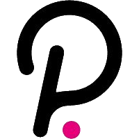 polkadot coin development company