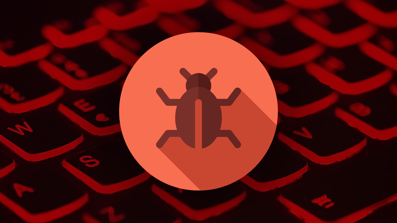 bug bounty program